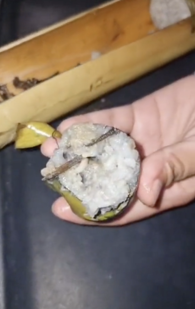 Pelanggan Terkejut Jumpa Segenggam Paku Dalam Lemang, Peniaga Mengaku Silap
